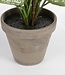 Kunstplant Groen 1Polyester