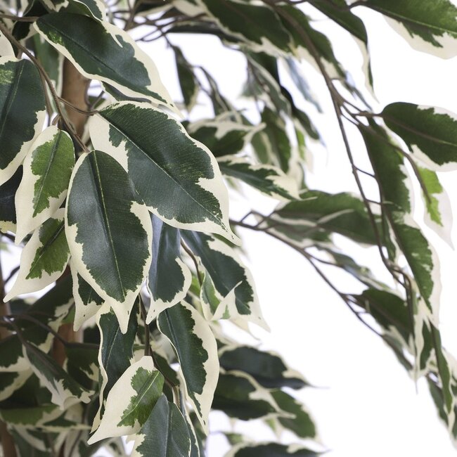 Kunstplant Groen 1Polyester