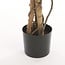 Mica Decorations Artificial Ficus Plant - Green