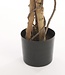 Kunstplant Groen 1Polyester