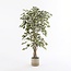 Kunstplant Groen 1Polyester