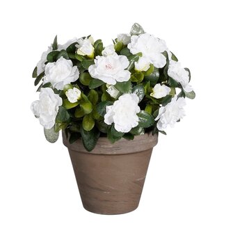 Mica Decorations Kunstplant azalea – wit – H31 × Ø26 cm