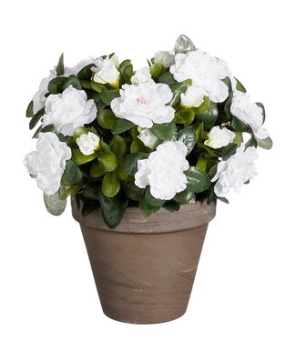 Mica Decorations Kunstplant Wit 1Polyester