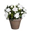 Mica Decorations Kunstplant Wit 1Polyester