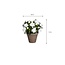 Mica Decorations Artificial Azalea Plant - White