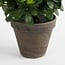 Mica Decorations Artificial Azalea Plant - White