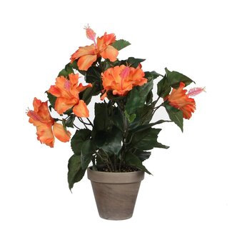 Mica Decorations Künstlicher Hibiskus - Orange - H40 cm