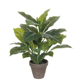 Mica Decorations Evergreen-Kunstpflanze - Grün - H49 × Ø40 cm