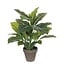 Mica Decorations Evergreen-Kunstpflanze - Grün - H49 × Ø40 cm