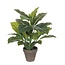 Mica Decorations Kunstplant Groen 1Polyester