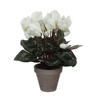 Mica Decorations Kunstplant cyclaam – wit – H30 × B30 cm