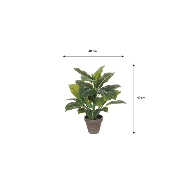 Mica Decorations Evergreen-Kunstpflanze - Grün - H49 × Ø40 cm