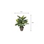 Mica Decorations Evergreen-Kunstpflanze - Grün - H49 × Ø40 cm