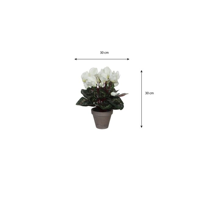 Mica Decorations Artificial Cyclamen Plant - White
