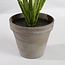 Mica Decorations Evergreen-Kunstpflanze - Grün - H49 × Ø40 cm