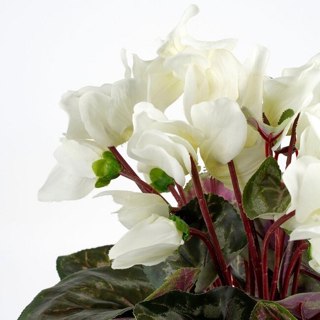 Mica Decorations Artificial Cyclamen Plant - White
