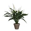 Kunstplant Wit 1Polyester