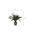 Kunstplant Wit 1Polyester