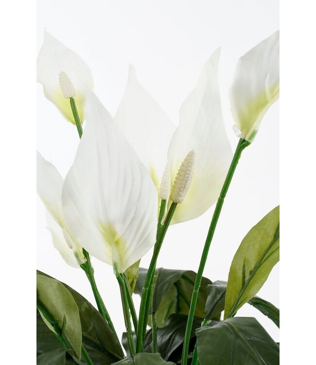 Kunstplant Wit 1Polyester