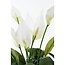 Kunstplant Wit 1Polyester