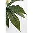 Kunstplant Wit 1Polyester