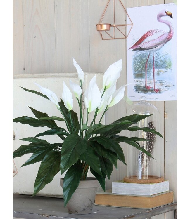 Kunstplant Wit 1Polyester