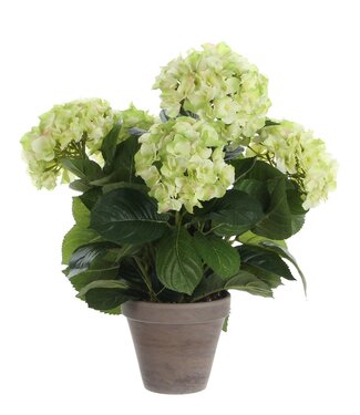 Mica Decorations Kunstplant Crème 1Polyester