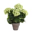 Mica Decorations Künstliche Hortensie - Creme