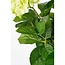 Mica Decorations Artificial Hydrangea Plant - Cream