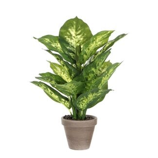 Mica Decorations Artificial Dieffenbachia Plant - Green - H40 × Ø30 cm