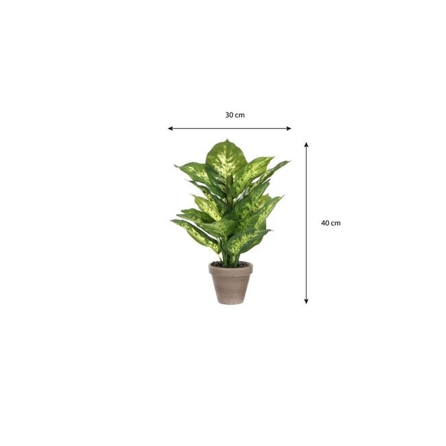 Mica Decorations Artificial Dieffenbachia Plant - Green - H40 × Ø30 cm