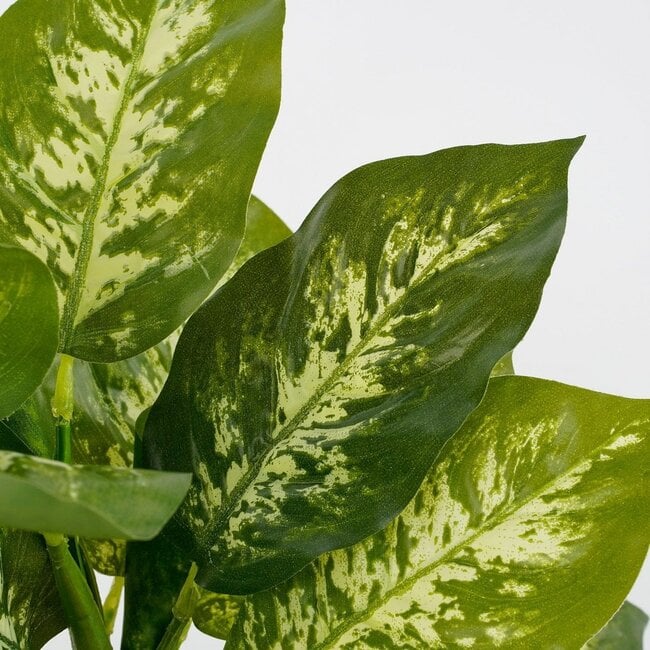 Mica Decorations Artificial Dieffenbachia Plant - Green - H40 × Ø30 cm