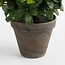 Mica Decorations Künstliche Azalee - Rosa - H31 × Ø26 cm