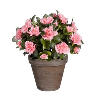 Mica Decorations Artificial Azalea Plant - Peach