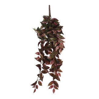 Mica Decorations Künstliche Tradescantia-Hängepflanze - Dunkelrot - H54 cm