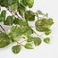 Mica Decorations Artificial Trailing Scindapsus - Green - H45 × Ø25 cm