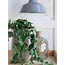 Mica Decorations Artificial Trailing Scindapsus - Green - H45 × Ø25 cm