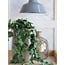 Mica Decorations Künstliche Scindapsus-Hängepflanze - Grün - H45 × Ø25 cm