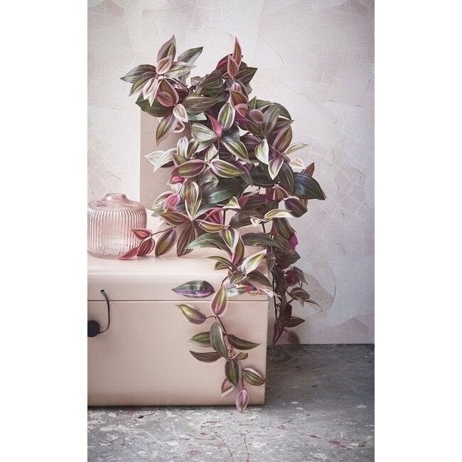 Mica Decorations Artificial Trailing Tradescantia - Dark Red - H54 cm