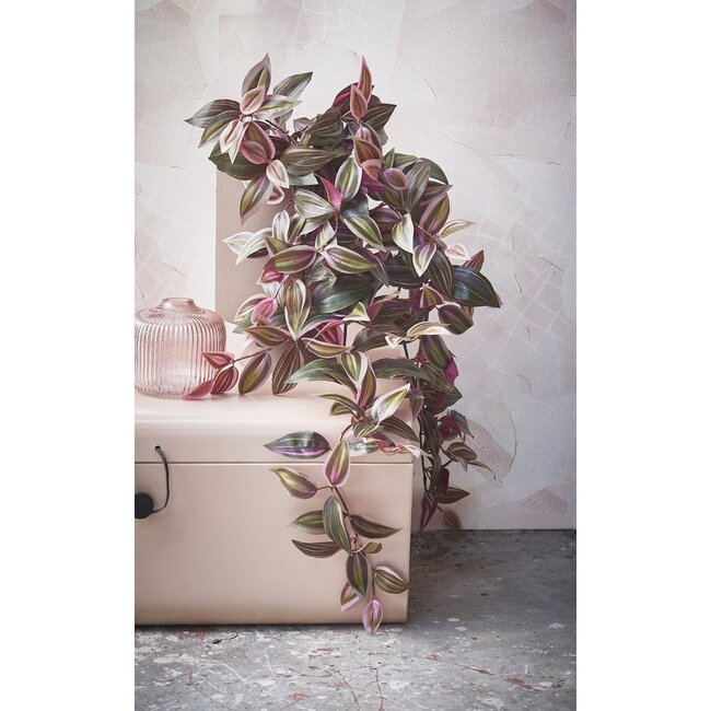 Mica Decorations Künstliche Tradescantia-Hängepflanze - Dunkelrot - H54 cm