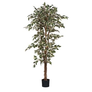 Mica Decorations Künstlicher Ficus – Bunt – H180 × Ø90 cm
