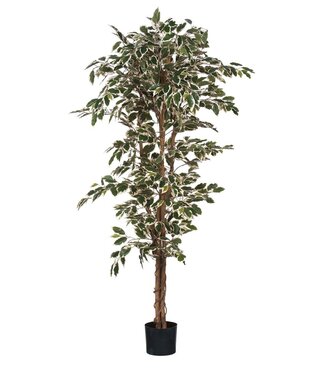 Mica Decorations Kunstplant Groen 1Kunststof