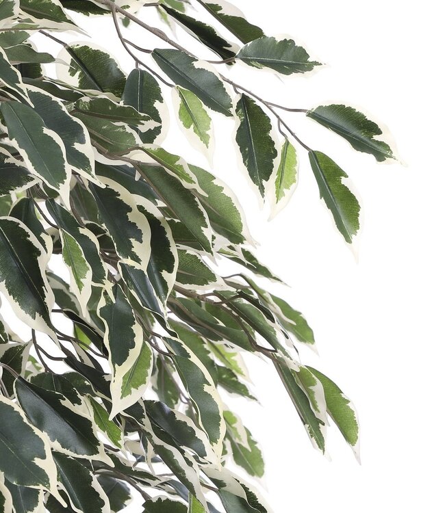 Kunstplant Groen 1Kunststof