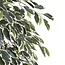 Mica Decorations Artificial Ficus Plant - Green