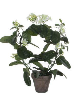 Mica Decorations Kunstplant Wit 1Polyester