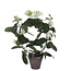 Mica Decorations Kunstplant Wit 1Polyester