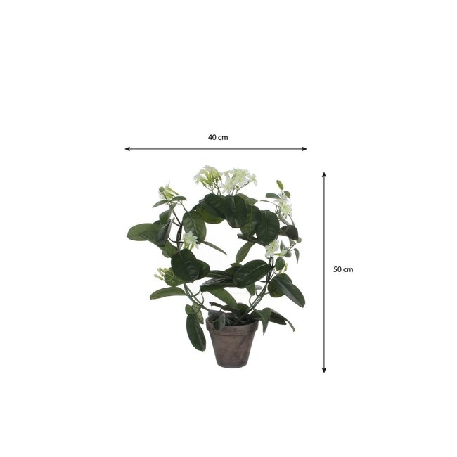 Mica Decorations Künstliche Stephanotis - Weiß - H50 cm