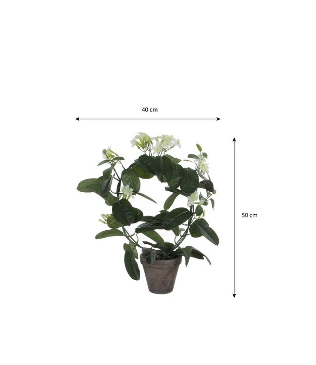 Kunstplant Wit 1Polyester