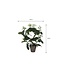 Mica Decorations Artificial Stephanotis Plant - White - H50 cm