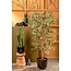 Mica Decorations Artificial Ficus Plant - Green